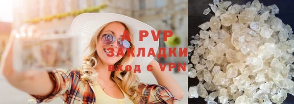ГАЛЛЮЦИНОГЕННЫЕ ГРИБЫ Горно-Алтайск