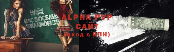 ГАЛЛЮЦИНОГЕННЫЕ ГРИБЫ Горно-Алтайск