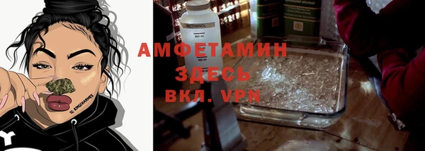 гидра Горнозаводск