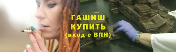гидра Горнозаводск