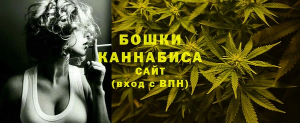 гидра Горнозаводск