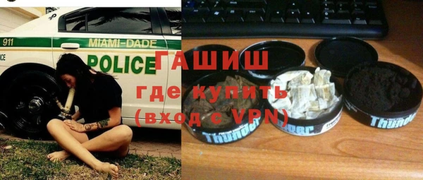 гидра Горнозаводск