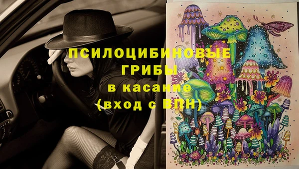 гидра Горнозаводск