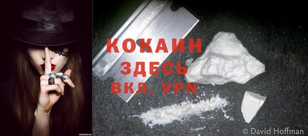 MESCALINE Горняк