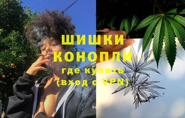 ГАЛЛЮЦИНОГЕННЫЕ ГРИБЫ Горно-Алтайск