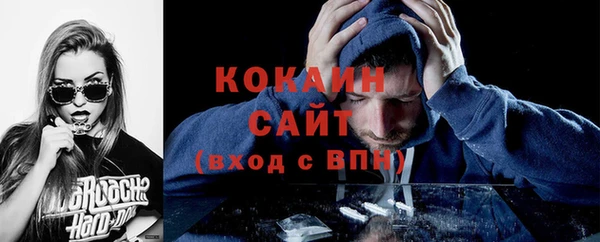 гидра Горнозаводск